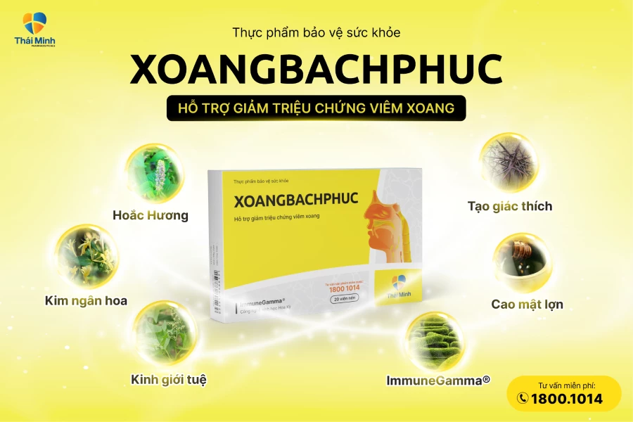 xbp thanh phan.webp